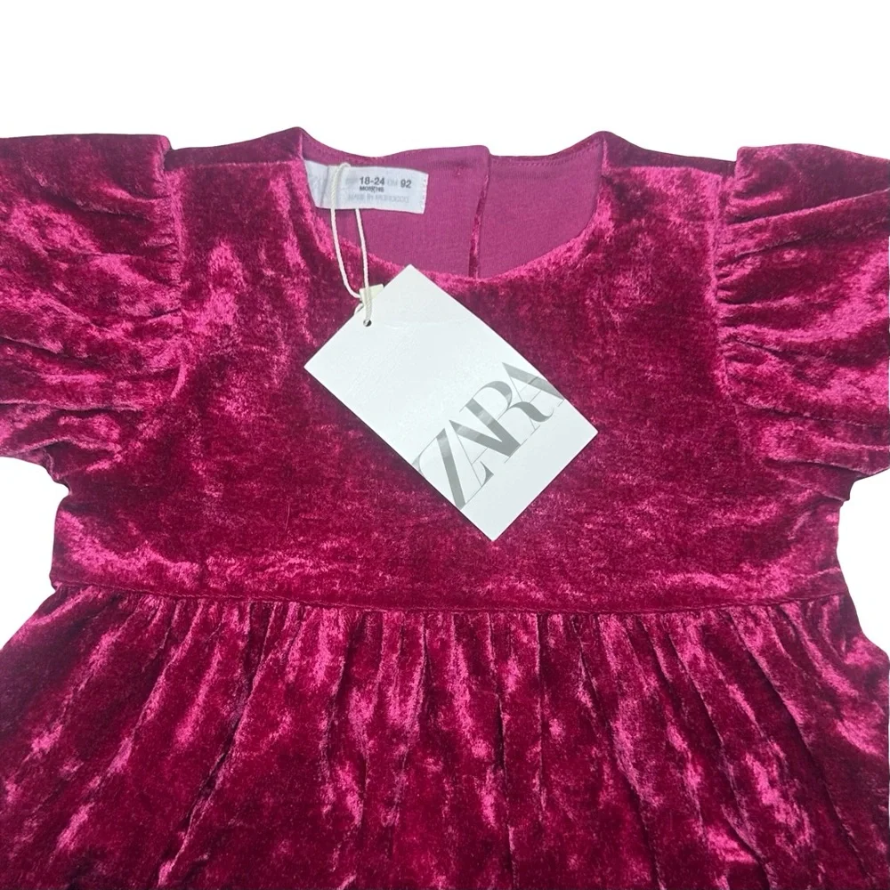 Zara Velvet‎ Dress
